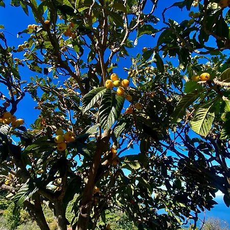 Дом отдыха Casa Martina