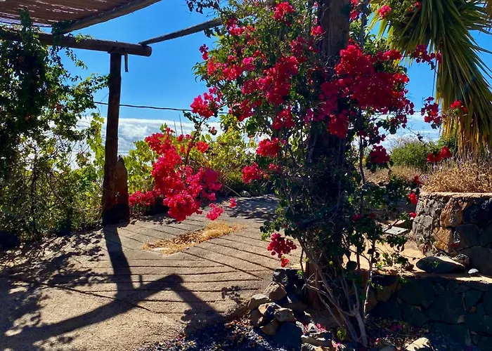 Casa Martina Санта-Крус-де-Тенерифе