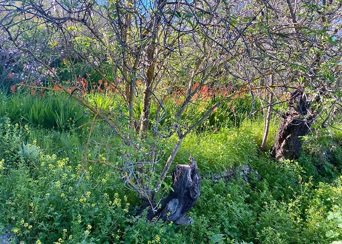 Casa Martina Санта-Крус-де-Тенерифе