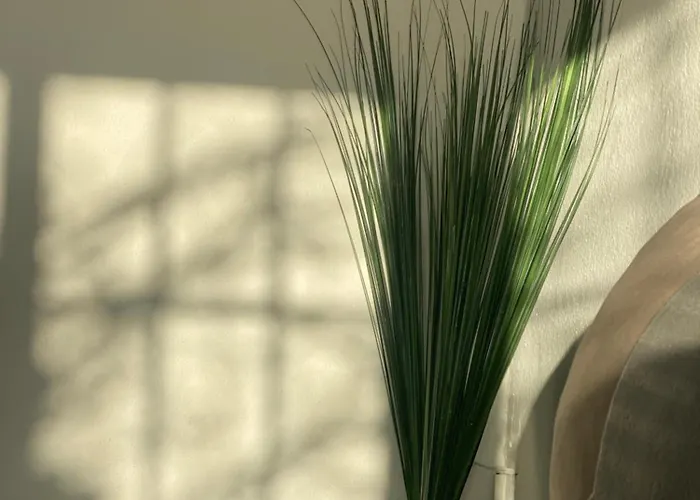 Casa Martina * Санта-Крус-де-Тенерифе