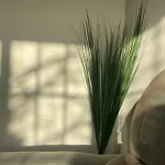 Casa Martina * サンタクルスデテネリフェ