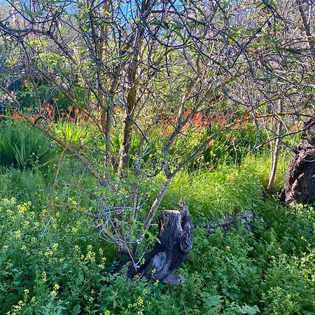 Casa Martina Santa Cruz de Tenerife