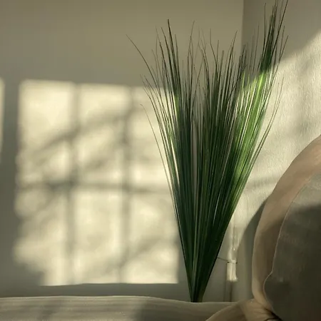 Casa Martina * Santa Cruz de Tenerife