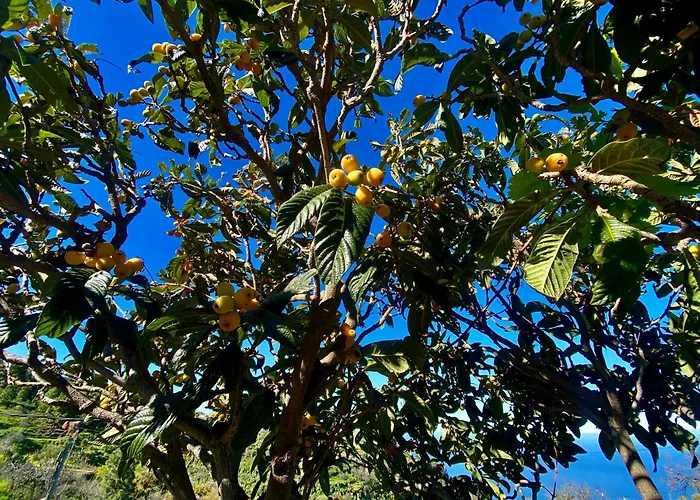 Σπίτι διακοπών Casa Martina